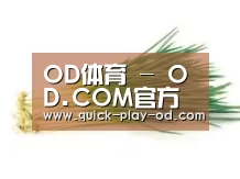 产品名称二