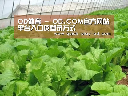 种植基地一