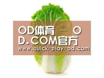 产品名称一