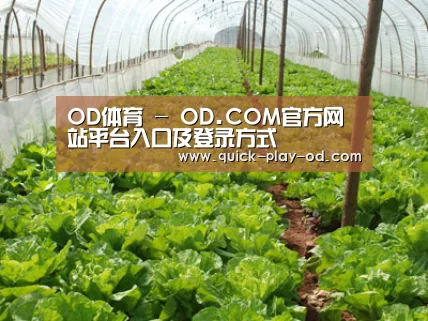 种植基地五