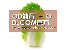 产品名称一(图1) 产品名称一(图1)